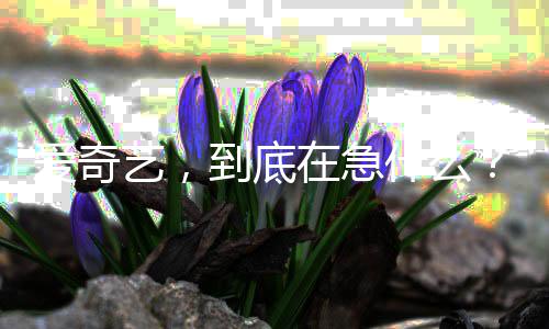 到底什么艺，在急爱奇