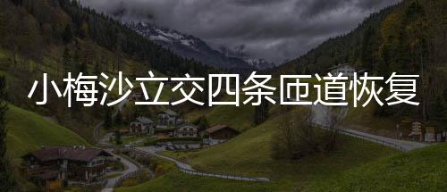 道恢小梅条匝交四沙立车复通